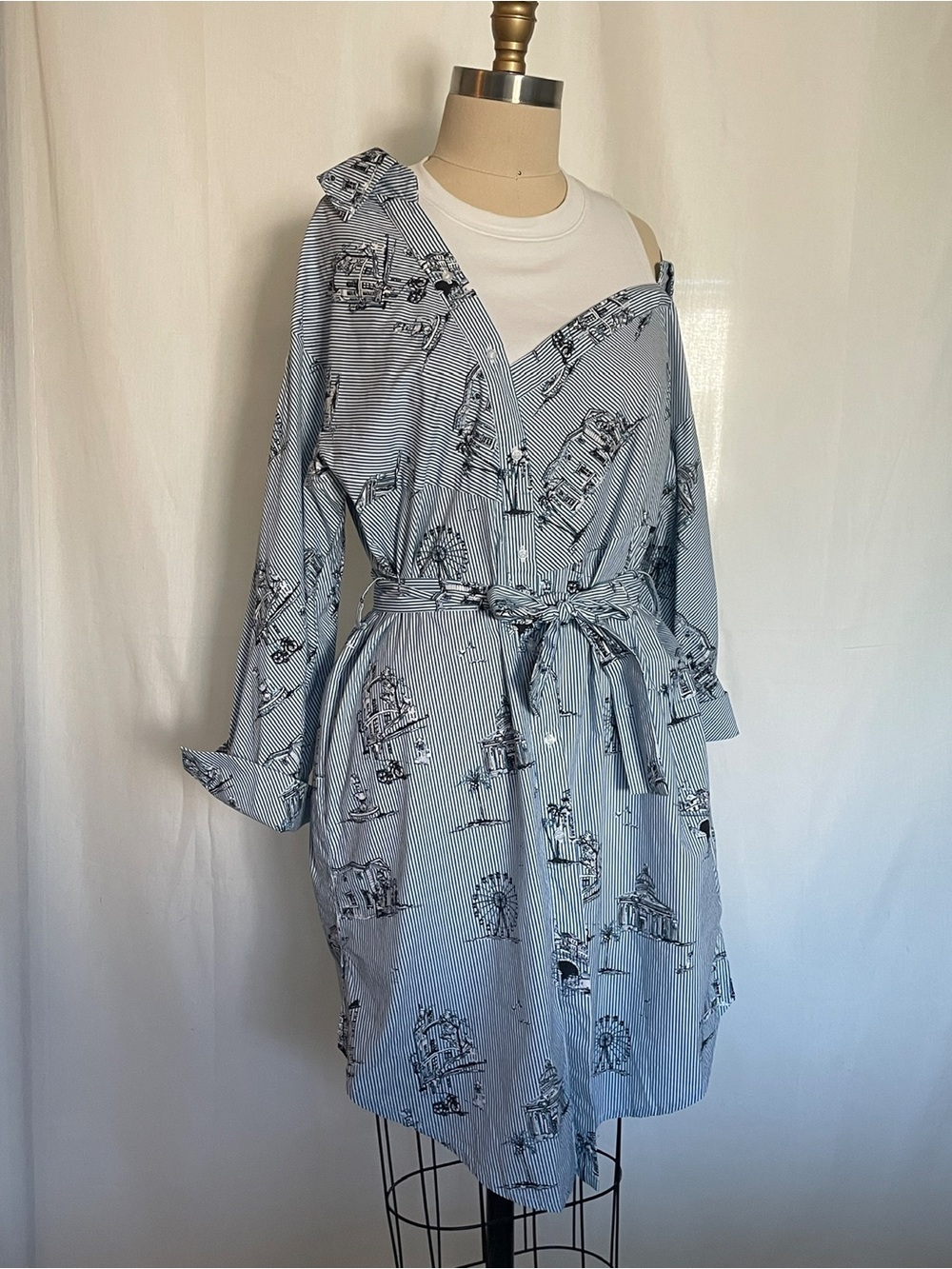 Maje Blue and White Striped Tie-Waist Shirt Dress with Scenic Print
